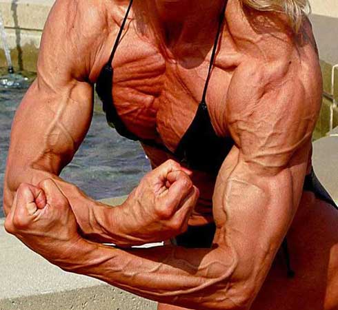 Vascular Muscle Girl